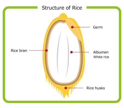 rice mill machine